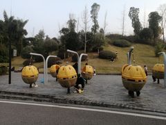 -枫香湖儿童公园