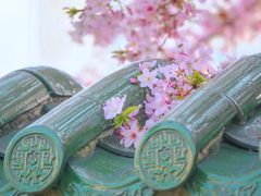 -上海外滩雅致酒店