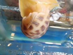 -徐记海鲜(梅溪新天地店)