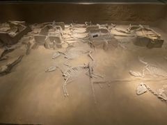 -洛阳周王城天子驾六博物馆