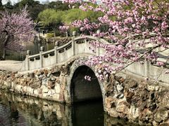 -无锡蠡湖国家湿地公园-蠡园