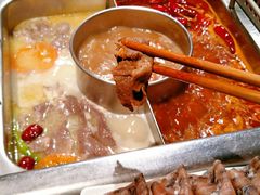 -巴奴毛肚火锅(安阳相州店)