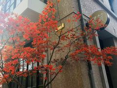 -徐家汇源景区-衡山坊