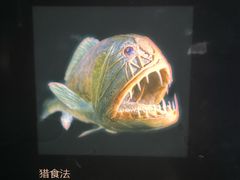 -同济大学四平路校区深海探索馆