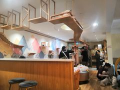 -滚猫咖啡·猫咖·猫友好撸猫(未来城店)