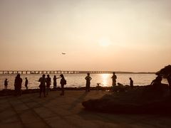 -宝安西湾红树林湿地公园