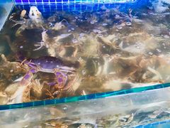 水产区-蟹谢蒸鲜自助餐厅