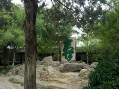 -云龙山