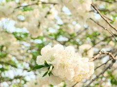 -北京安贞环宇荟