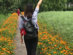 -长兴太湖图影湿地文化园