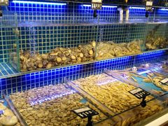 水产区-必点海鲜·鲅鱼水饺(鞍山西道店)
