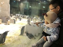 -大连圣亚海洋世界