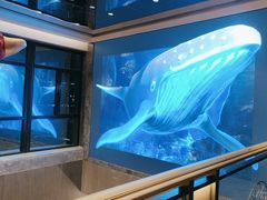 -鑫复盛皇嘉海鲜酒店