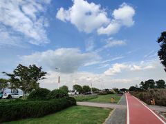 -西京湾花海