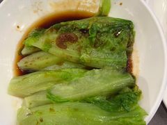 -东方御宴海鲜酒楼(棕泉酒店)