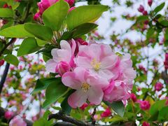 -元大都城垣遗址公园