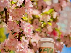 -星巴克(北京望京店)