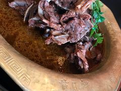 -芦月轩羊蝎子(北蜂窝店)