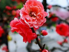-荆川公园