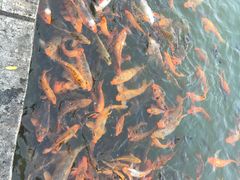 -广西职业师范学院(相思湖校区)