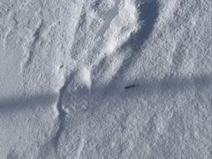 -翠云山银河滑雪场