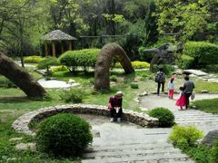 android_upload_pic-沈阳植物园