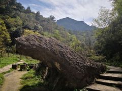 -梦幻奥陶纪景区