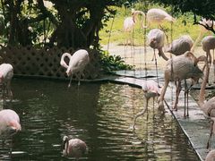 -九龙公园