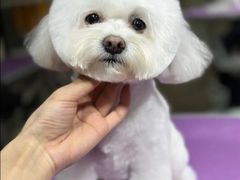 -爱派特动物医院·全科诊疗中心