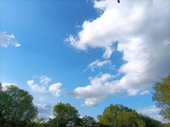 -新江湾城公园