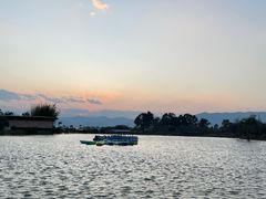 -月亮湾湿地公园