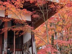 -常寂光寺