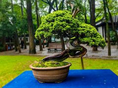 -汇龙潭