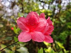 -午潮山国家森林公园