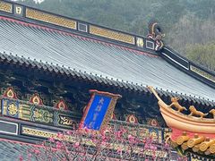 -普陀山风景名胜区-法雨禅寺