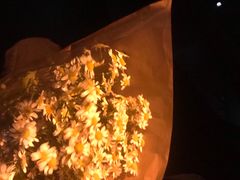 -豆豆花艺(新光天地店)