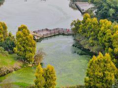 -张坝桂圆林公园