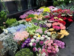 -双季花艺园艺市场(浦东店)