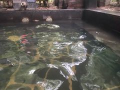 -西安国际创新人才交流中心•药浴温泉