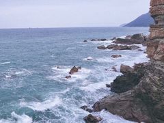 -杨梅坑
