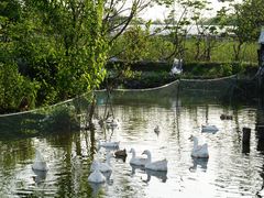 -美家乐农庄·露营·团建(大治路店)