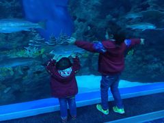 -成都浩海立方海洋公园