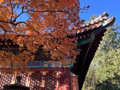 -香山公园
