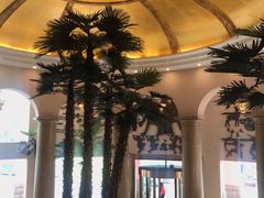 -圣爵菲斯大酒店(长沙世界之窗店)