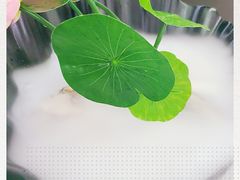 -名善山珍·野生菌汤锅(文殊院店)
