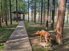 -南京金牛湖风景区
