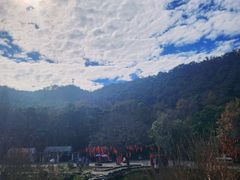 -广州市石门国家森林公园
