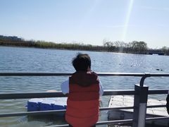 -大兴滨河森林公园