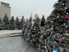 -城市露台景观餐厅(淮海路店)