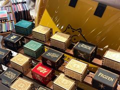 -浣熊唱片店(上海影城店)